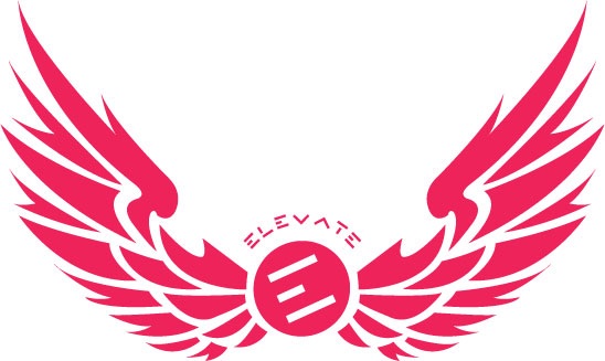 Elevate Volleyball Club Academy