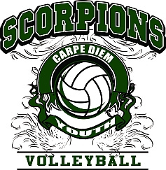 Scorpions Youth Beach Volleyball Club Inc.