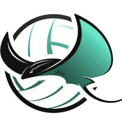 Stingray Volleyball Academy