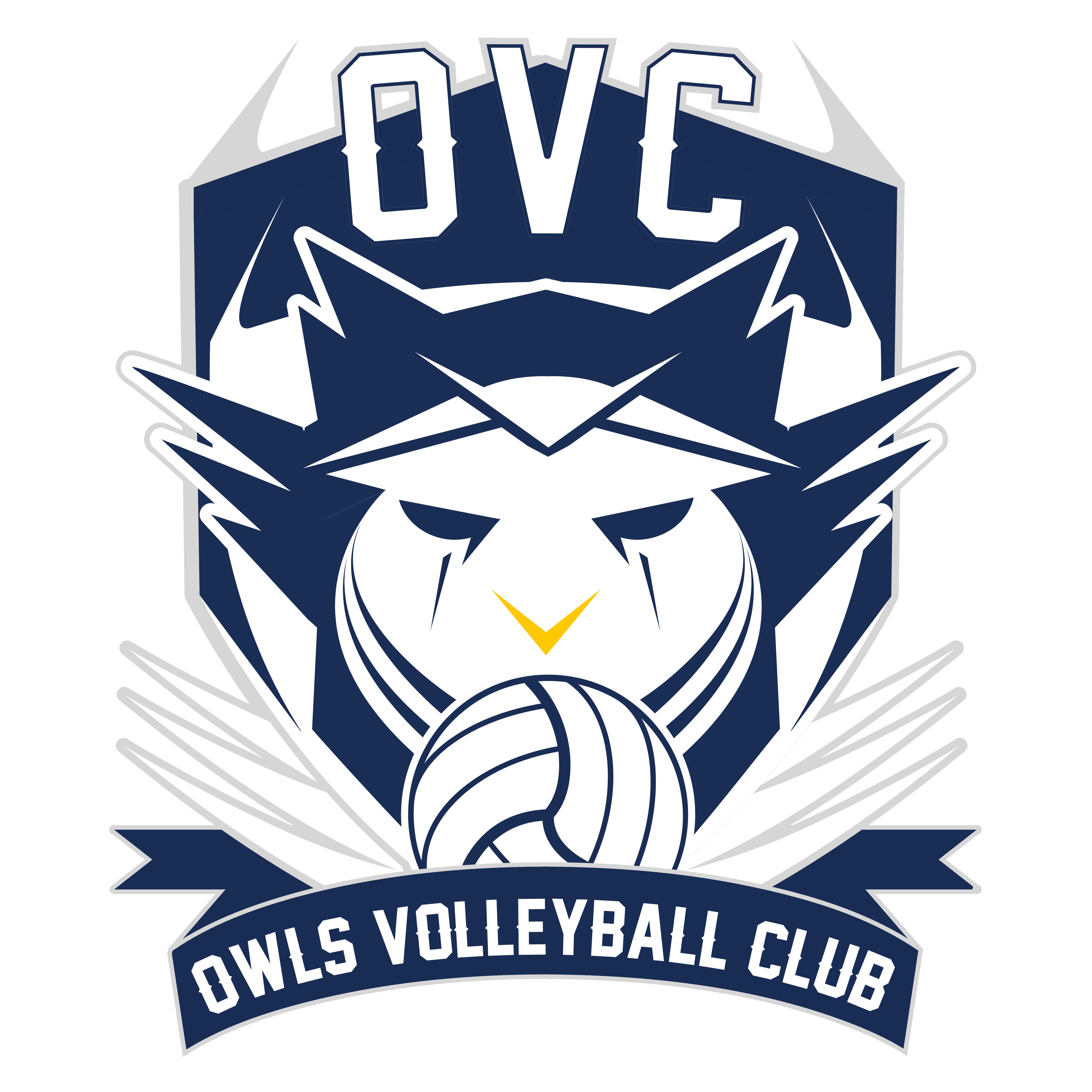 Owls Beach Volleyball Club