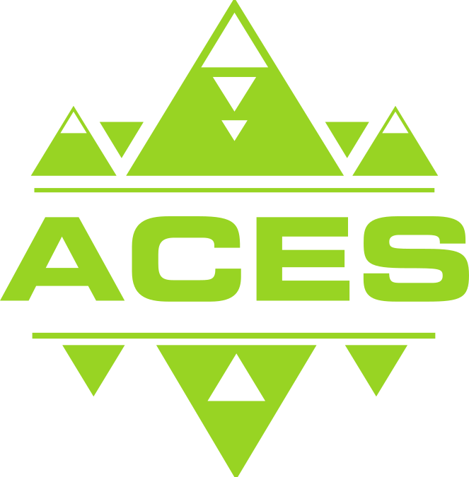 Georgia Aces Volleyball Club